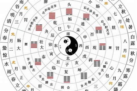 五行分數60|八字五行算命和人生起伏圖